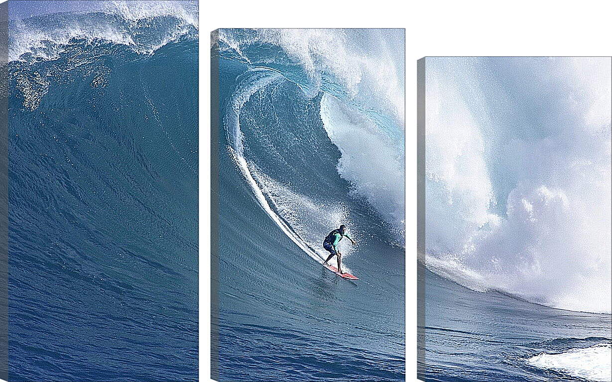 Модульная картина - Рисковый сёрфингист