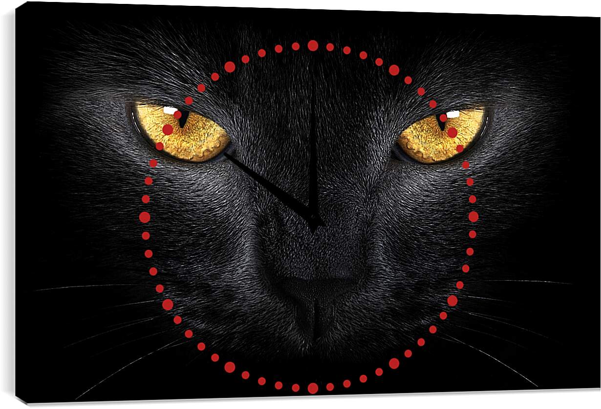 Часы картина - Взгляд черного кота