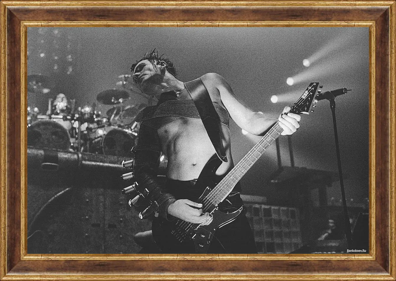 Картина в раме - Rammstein (Рамштайн)