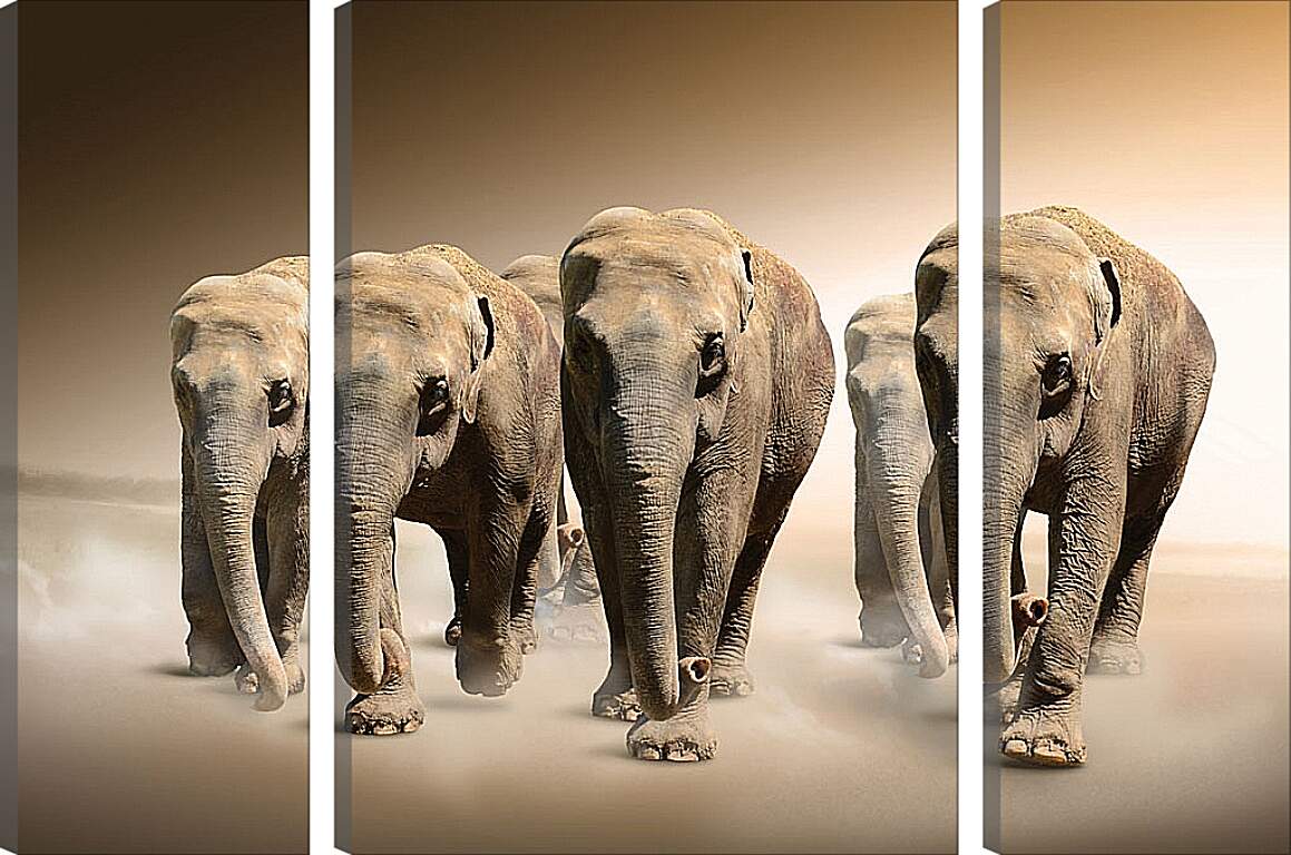 Модульная картина - Слоны