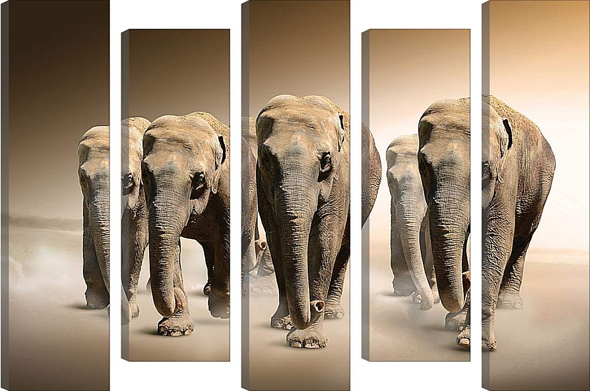 Модульная картина - Слоны