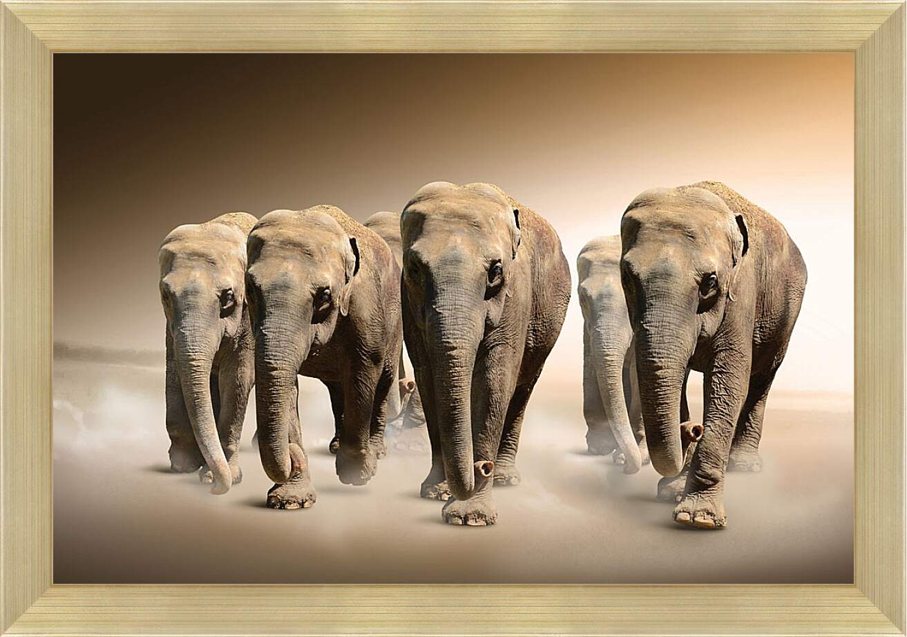 Картина в раме - Слоны