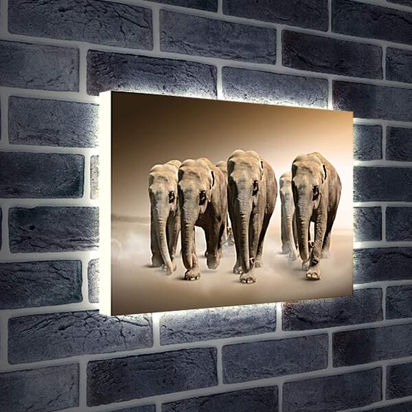 Лайтбокс световая панель - Слоны