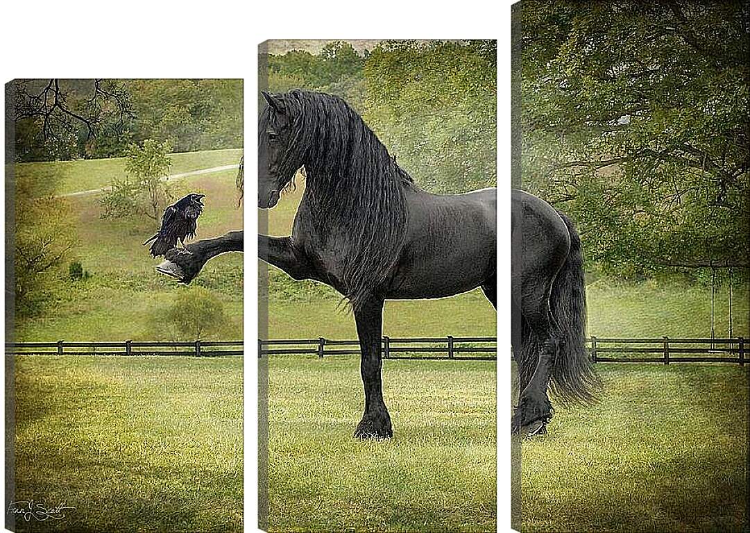 Модульная картина - Вороной конь и ворон