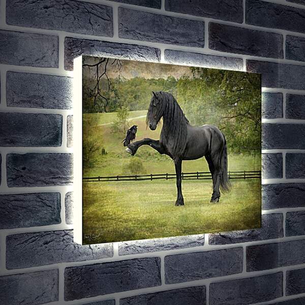 Лайтбокс световая панель - Вороной конь и ворон