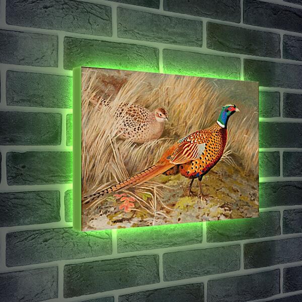 Лайтбокс световая панель - Пара фазанов