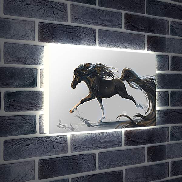Лайтбокс световая панель - Конь ночь
