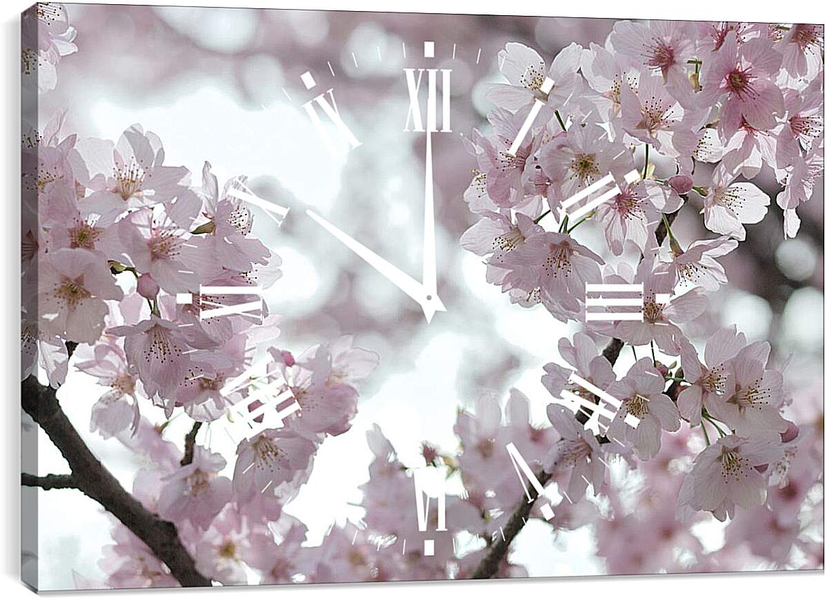 Часы картина - Сакура в цвету