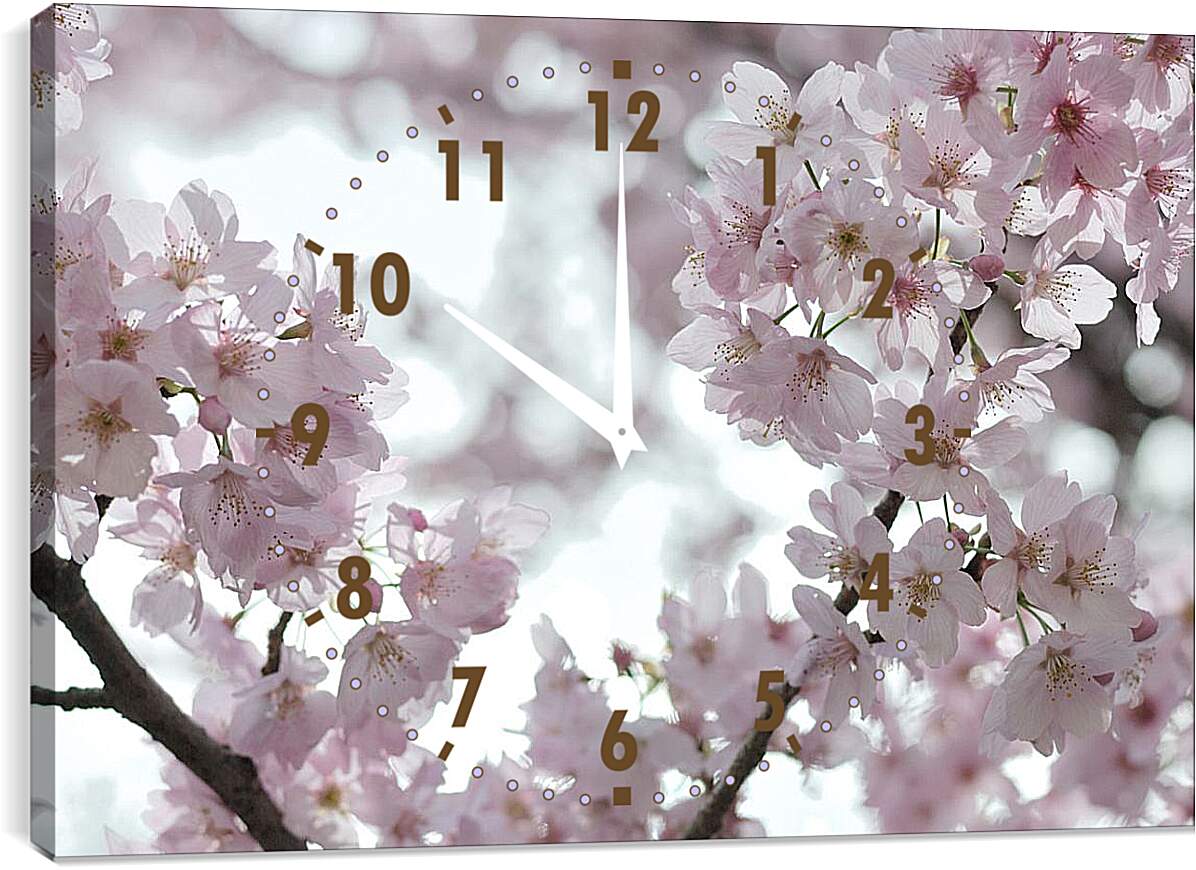 Часы картина - Сакура в цвету