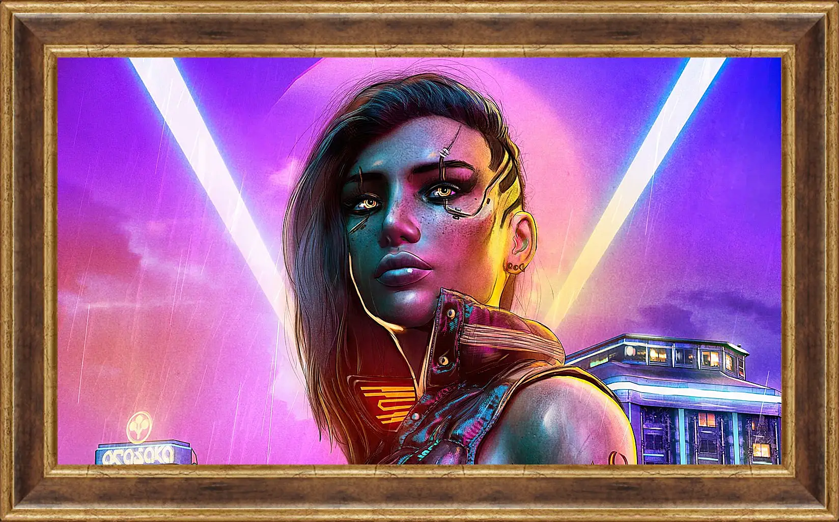 Картина в раме - Cyberpunk 2077