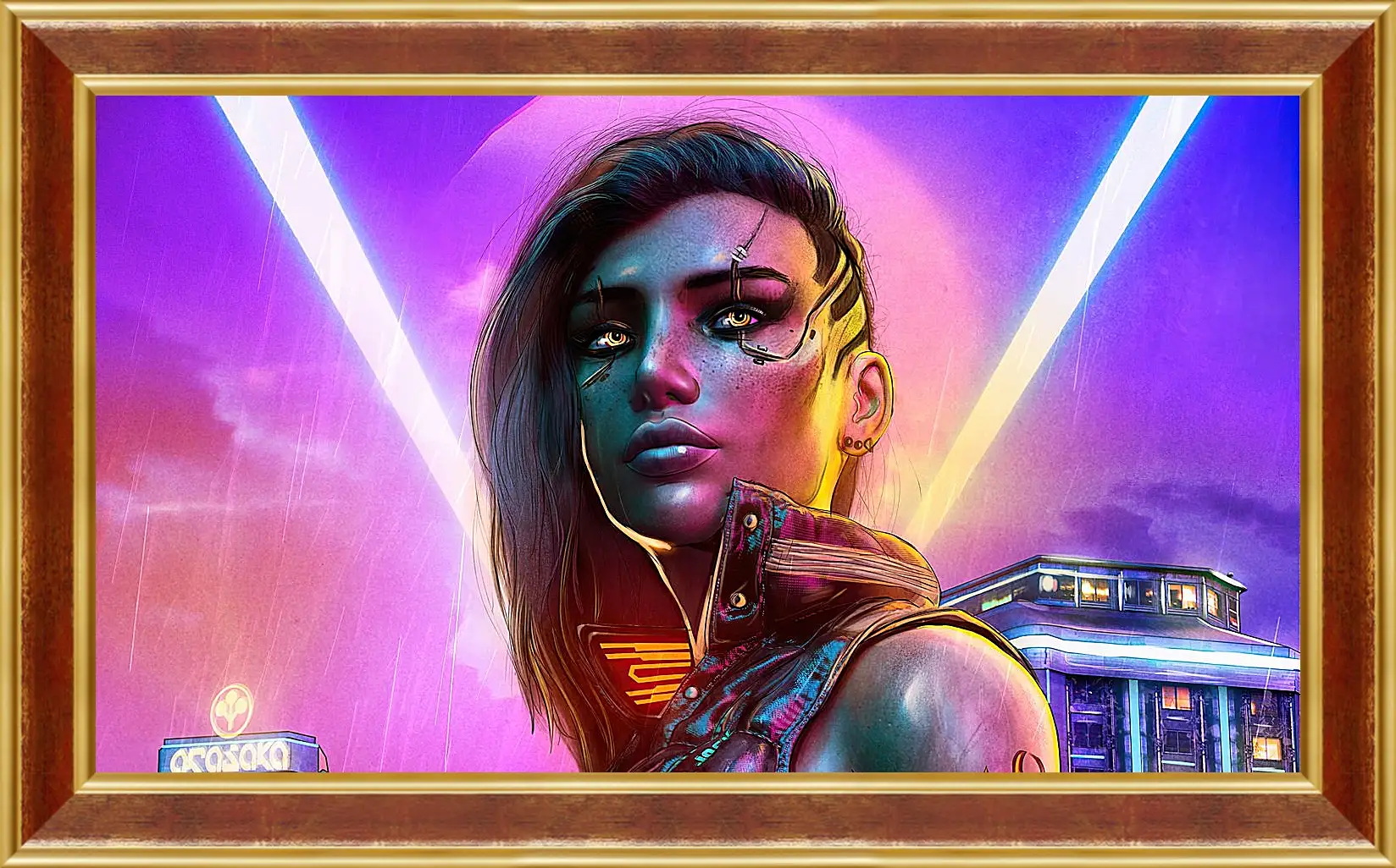 Картина в раме - Cyberpunk 2077