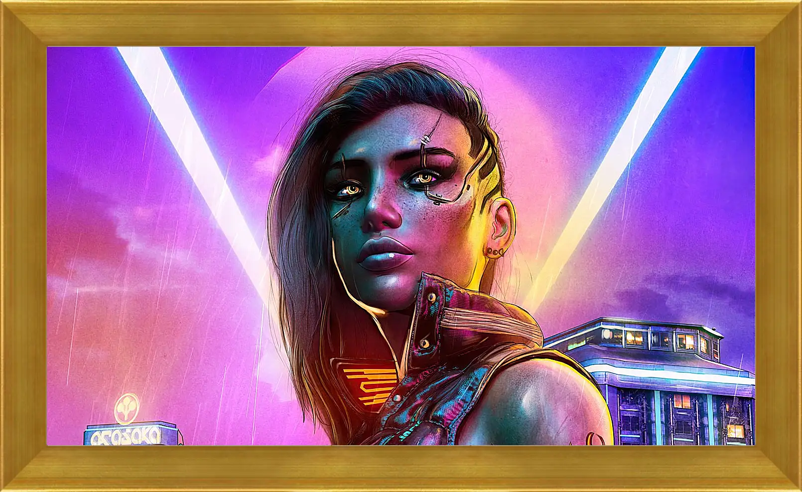 Картина в раме - Cyberpunk 2077