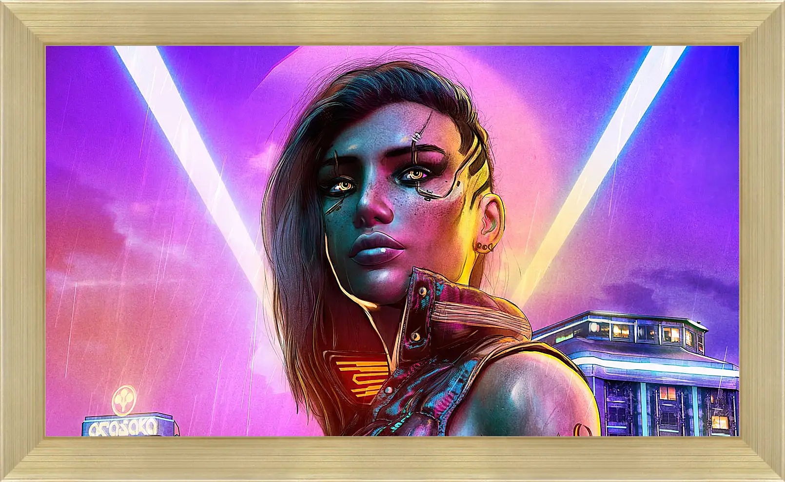 Картина в раме - Cyberpunk 2077