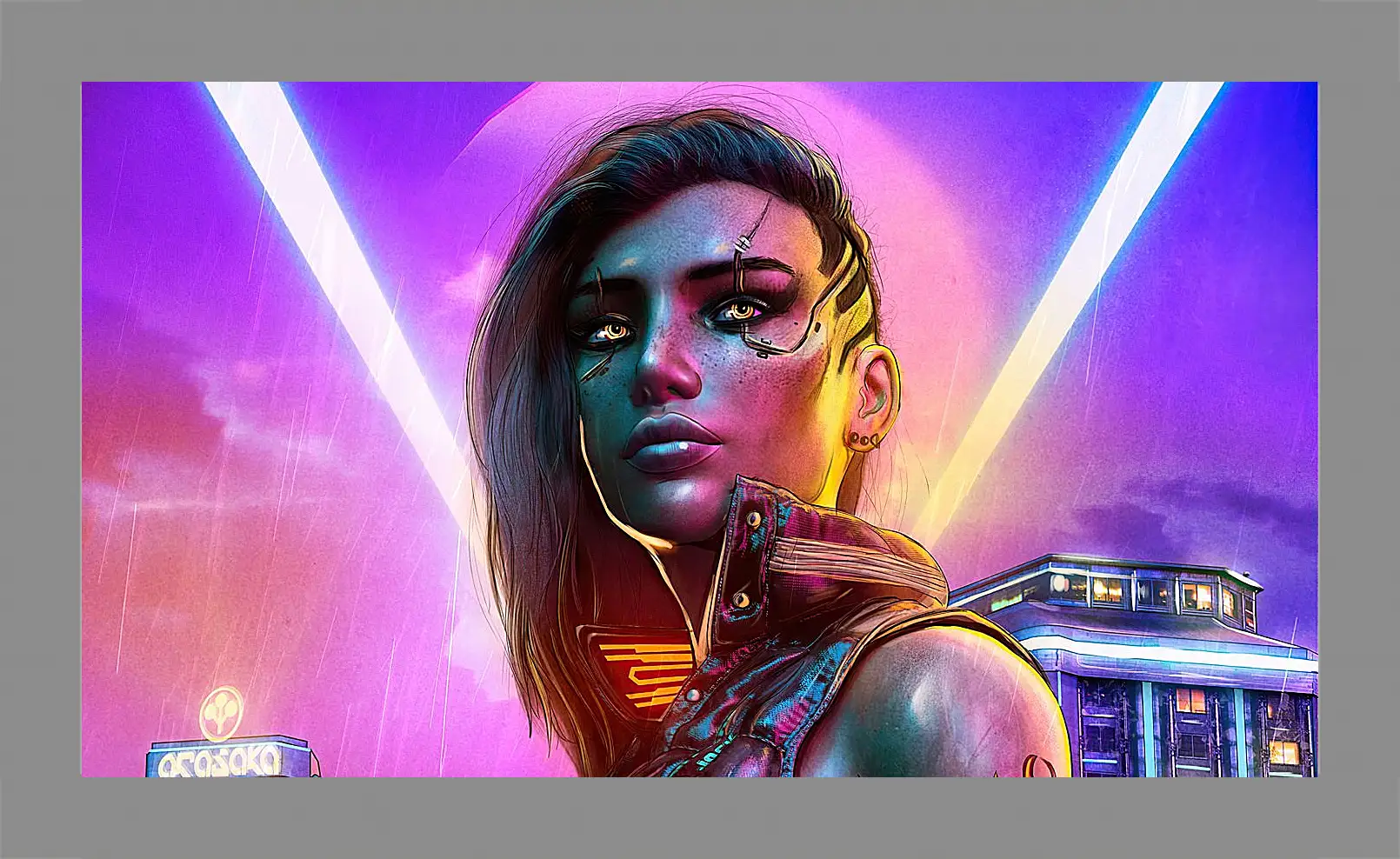 Картина в раме - Cyberpunk 2077