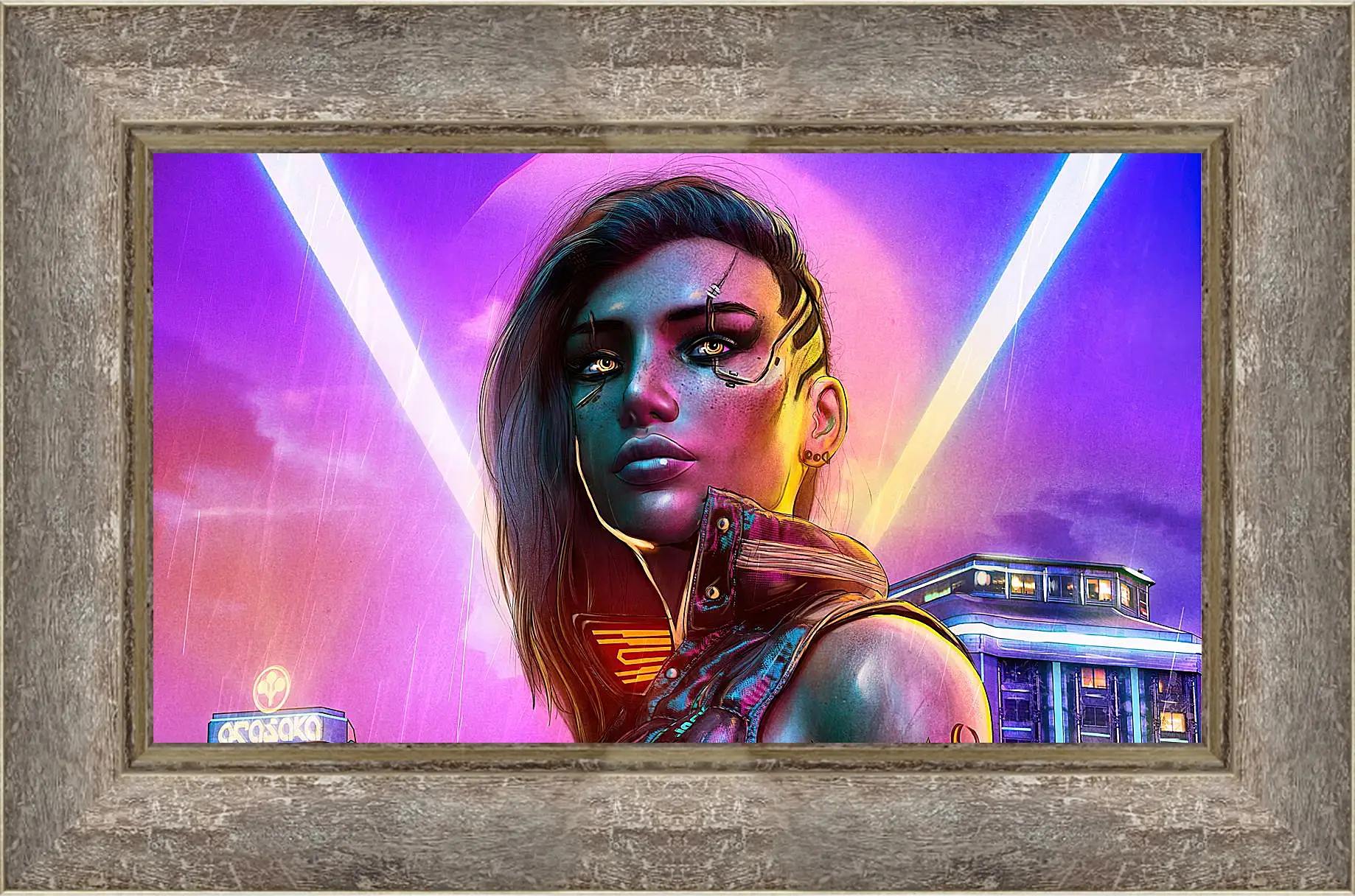 Картина в раме - Cyberpunk 2077