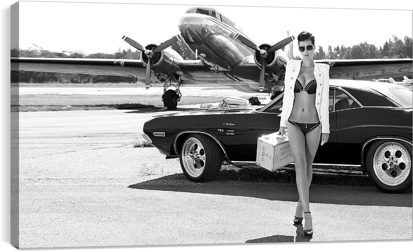 Постер и плакат - Девушка, авто и самолет