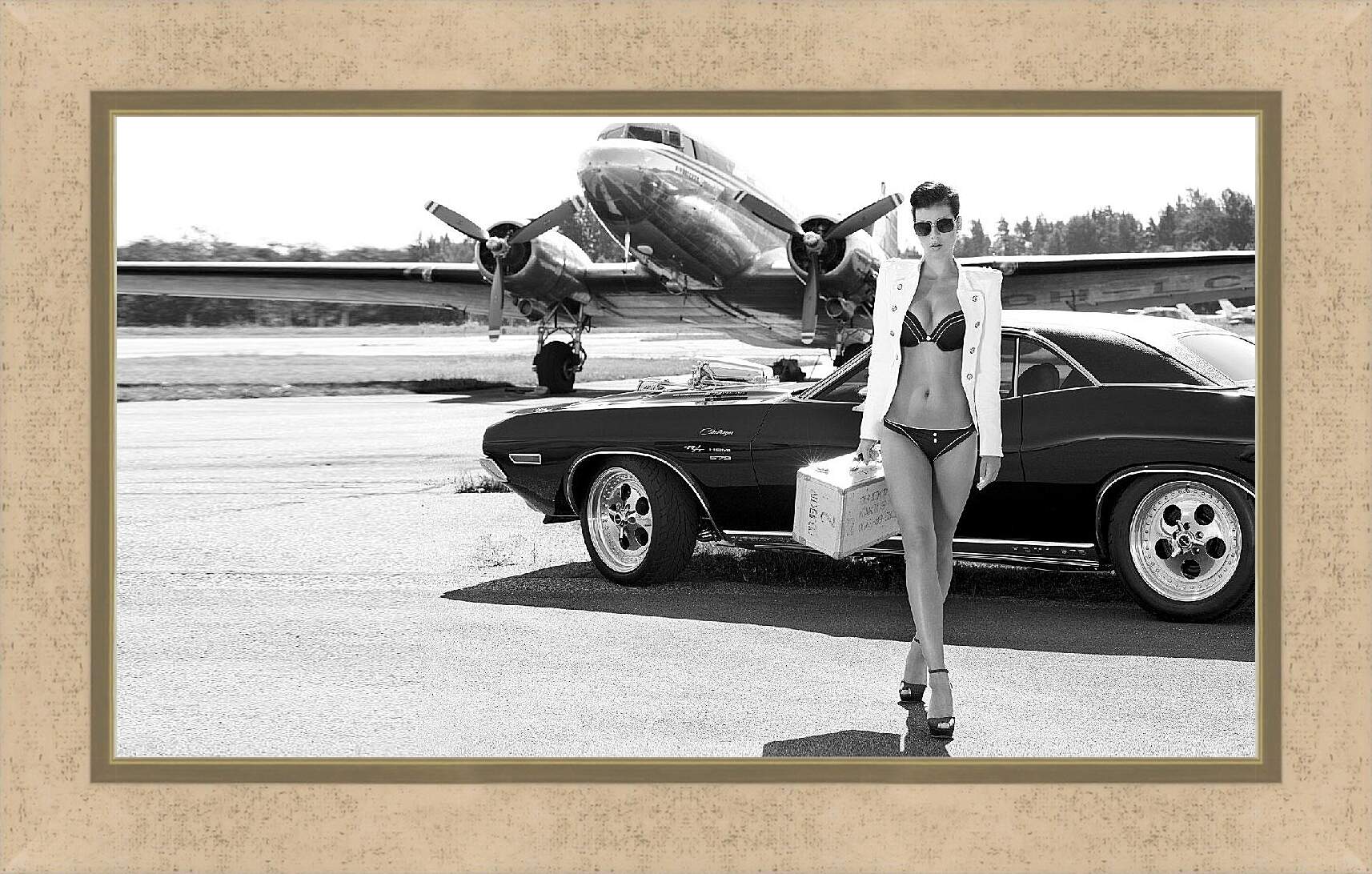 Картина в раме - Девушка, авто и самолет