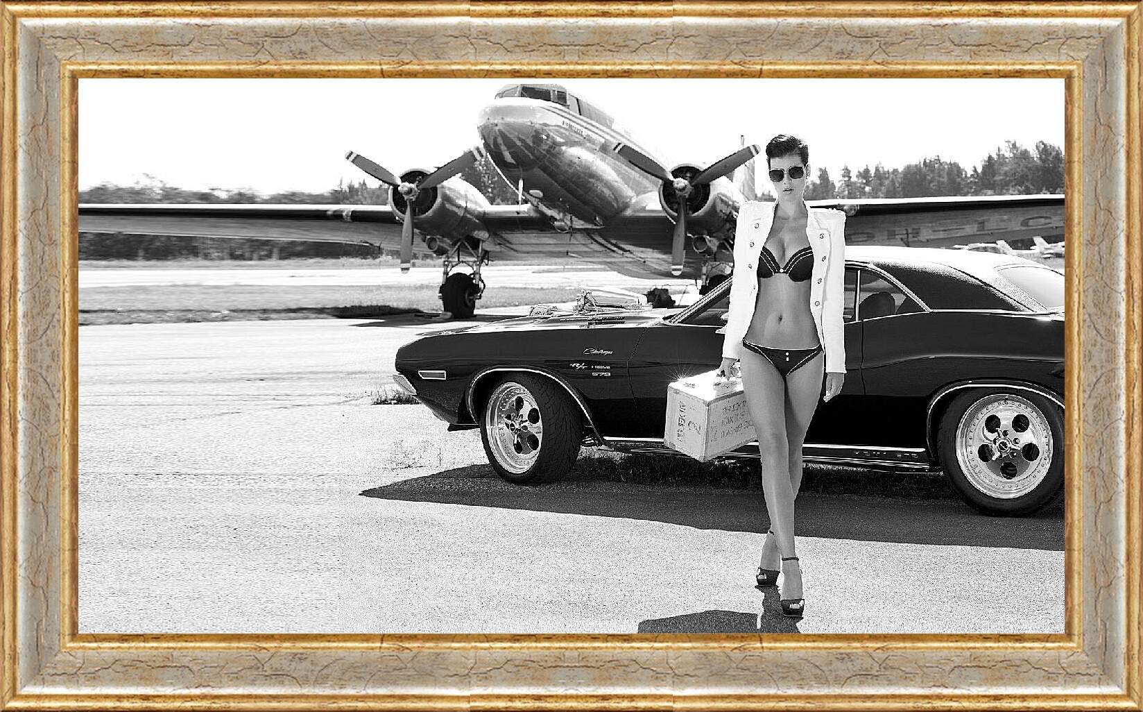Картина в раме - Девушка, авто и самолет