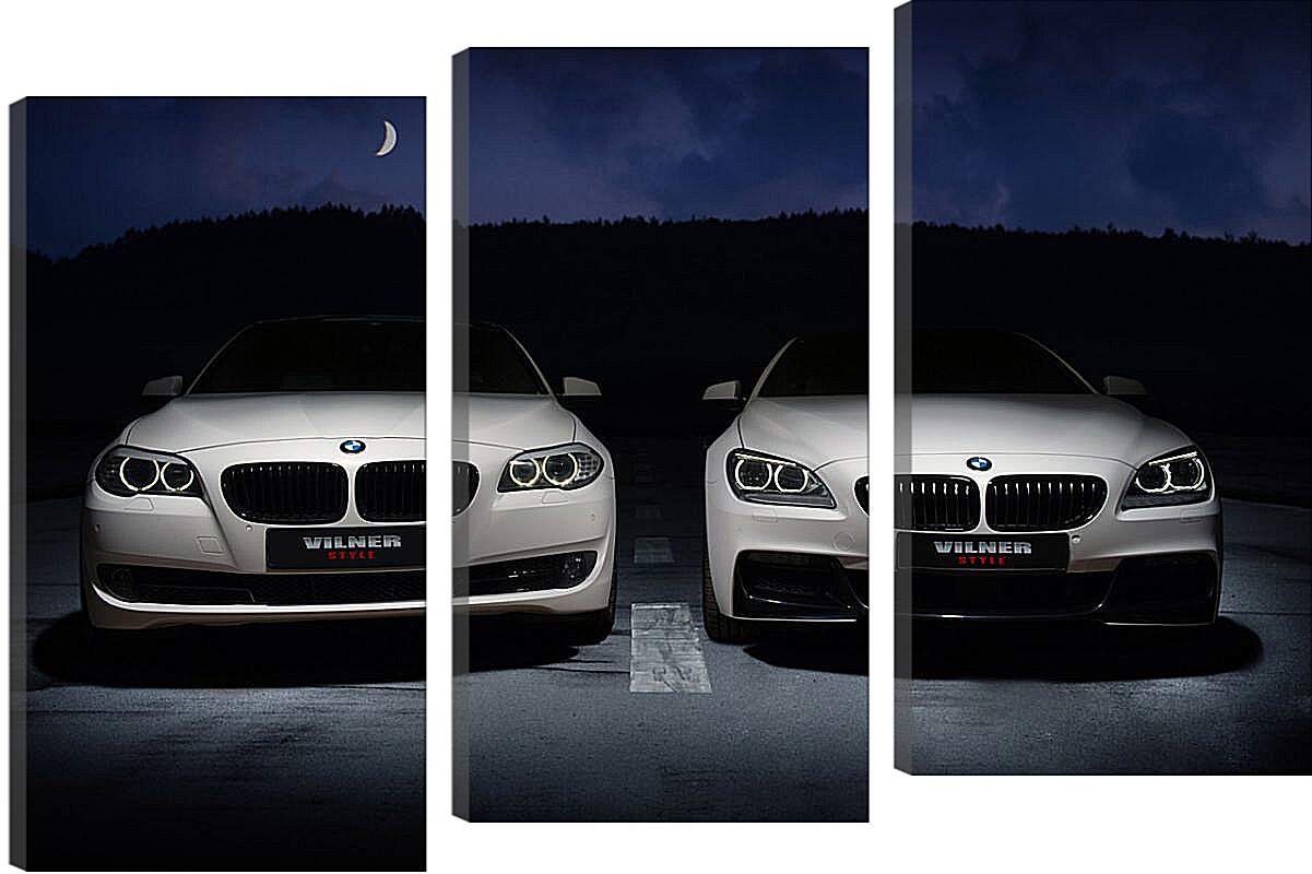 Модульная картина - Две BMW