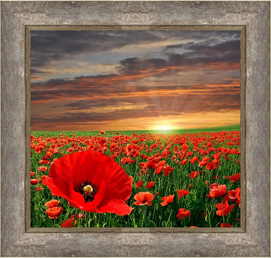Картина в раме - Закат