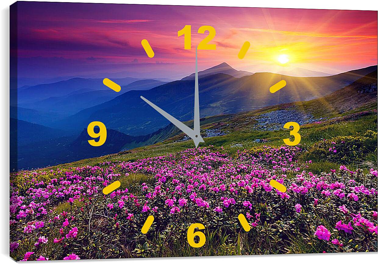 Часы картина - Цветы в лучах закатного солнца