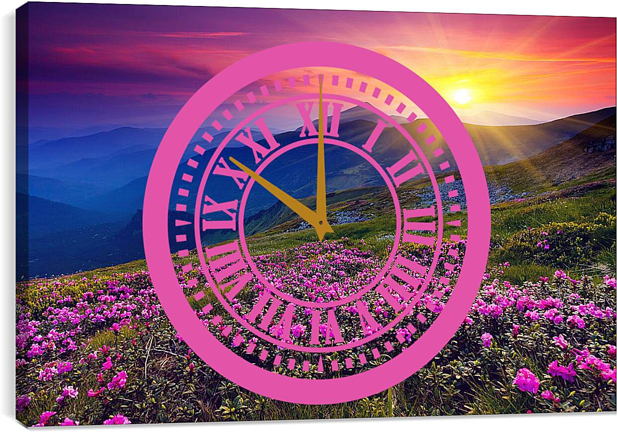 Часы картина - Цветы в лучах закатного солнца