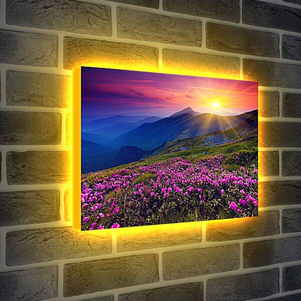 Лайтбокс световая панель - Цветы в лучах закатного солнца