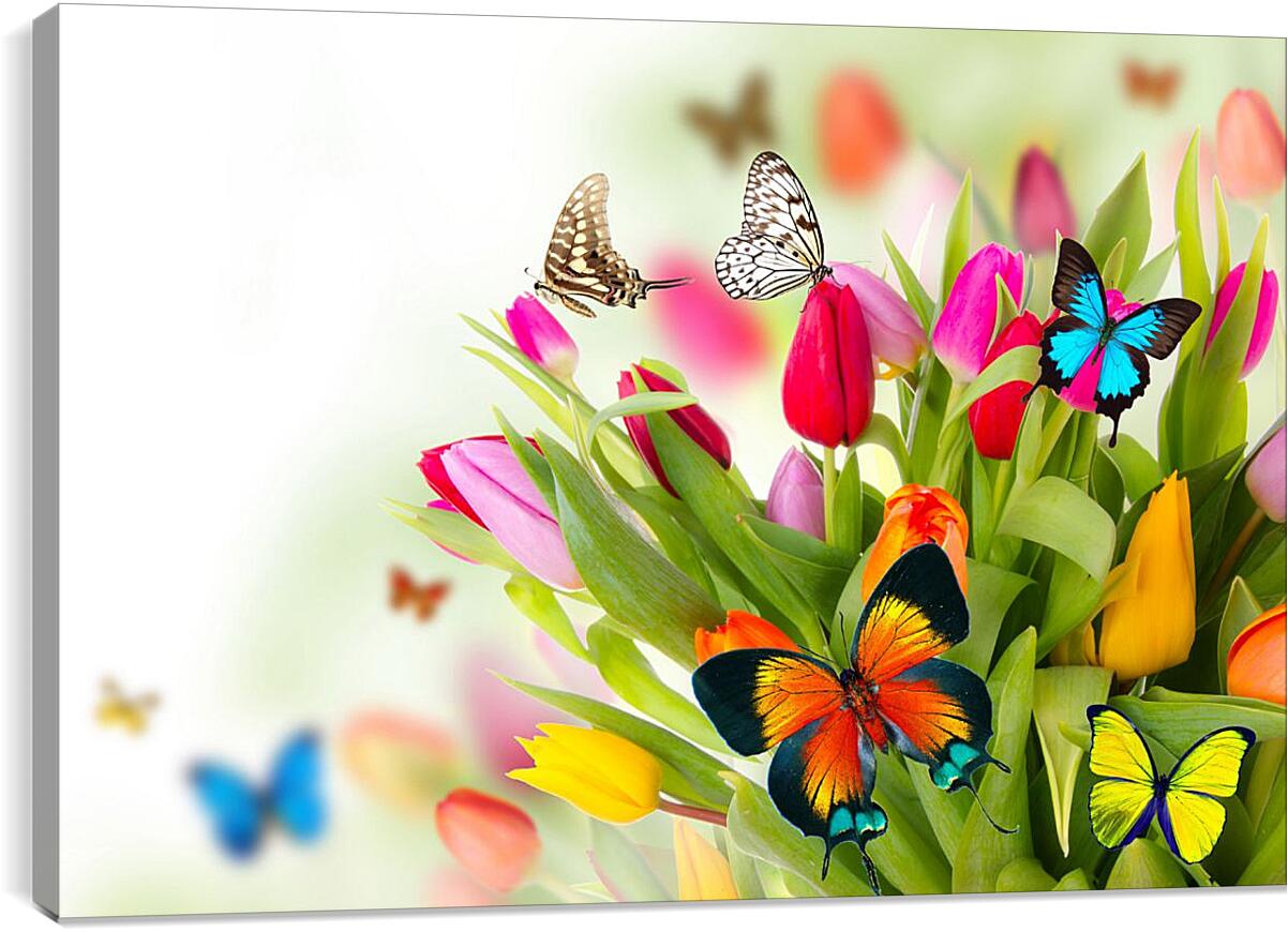 Постер и плакат - Бабочки в тюльпанах