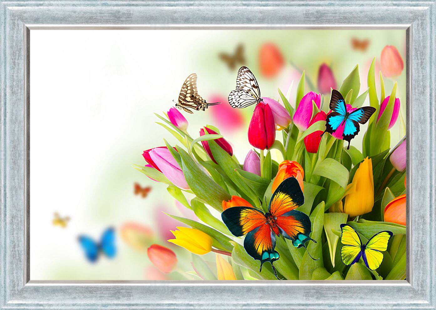Картина в раме - Бабочки в тюльпанах