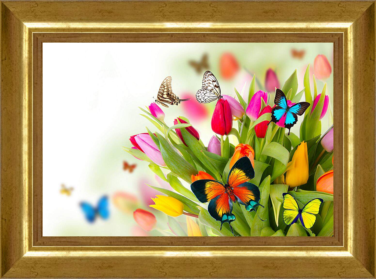 Картина в раме - Бабочки в тюльпанах