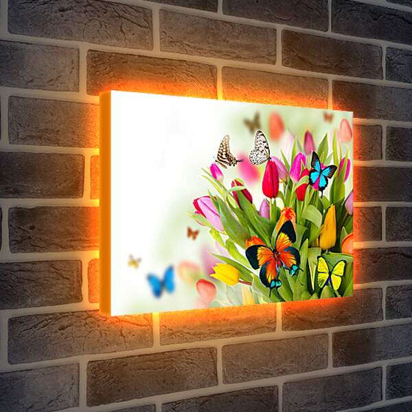 Лайтбокс световая панель - Бабочки в тюльпанах