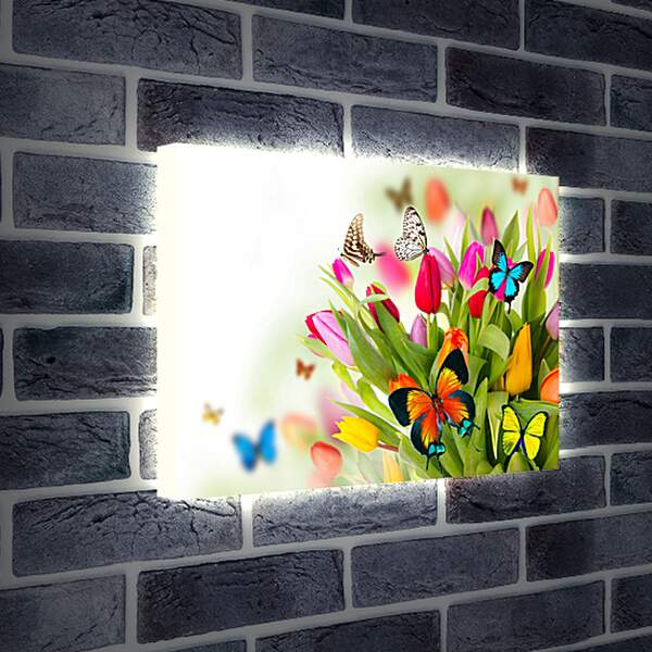 Лайтбокс световая панель - Бабочки в тюльпанах