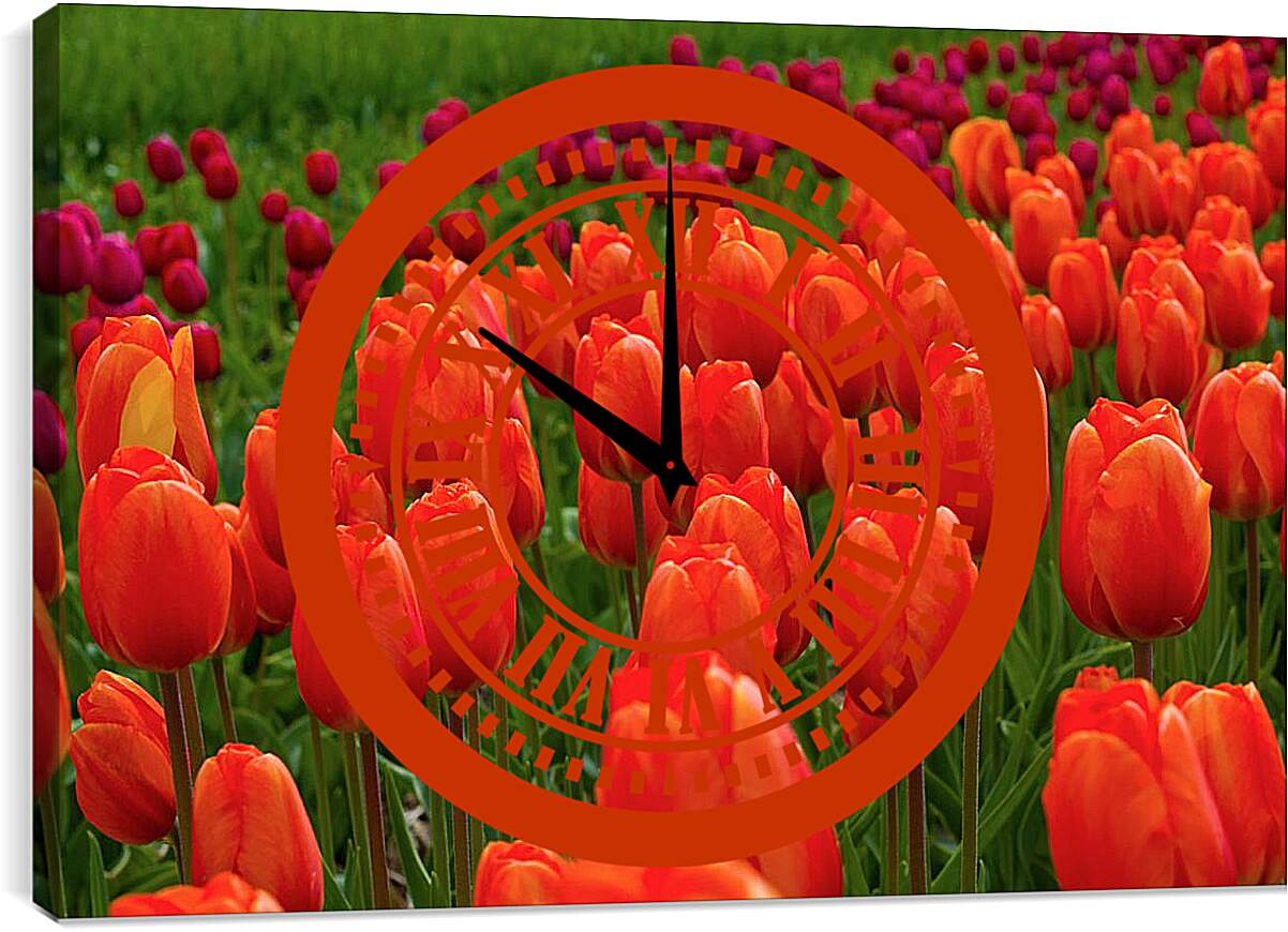 Часы картина - Поле красных тюльпанов