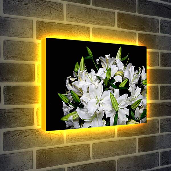 Лайтбокс световая панель - букет белых лилий