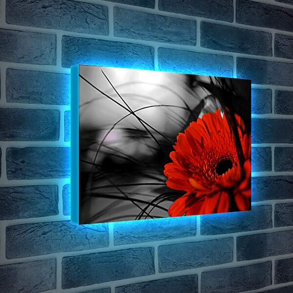 Лайтбокс световая панель - Красный цветок