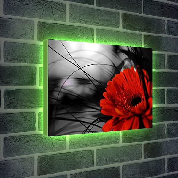 Лайтбокс световая панель - Красный цветок