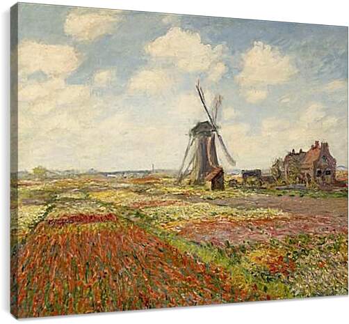 Постер и плакат - Fields of Tulip With The Rijnsburg Windmill. Клод Моне