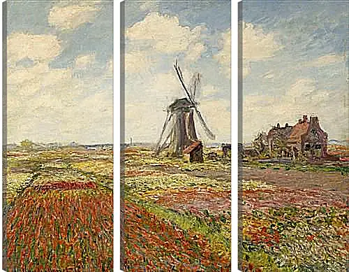 Модульная картина - Fields of Tulip With The Rijnsburg Windmill. Клод Моне