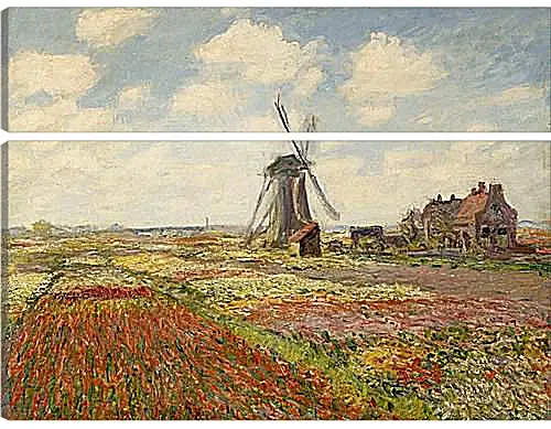 Модульная картина - Fields of Tulip With The Rijnsburg Windmill. Клод Моне