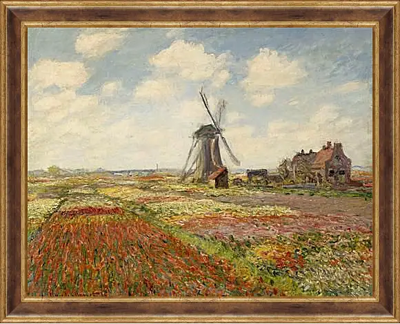 Картина в раме - Fields of Tulip With The Rijnsburg Windmill. Клод Моне