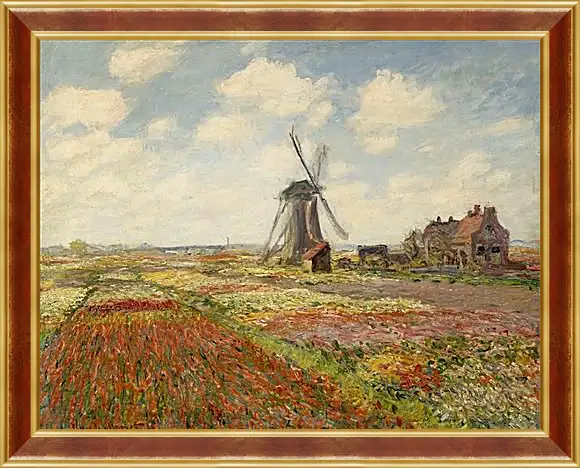 Картина в раме - Fields of Tulip With The Rijnsburg Windmill. Клод Моне