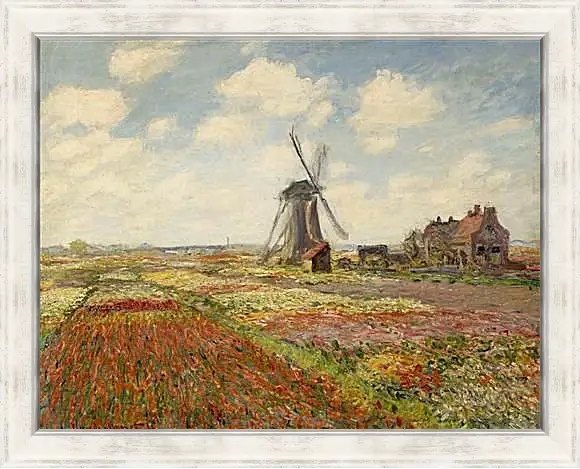 Картина в раме - Fields of Tulip With The Rijnsburg Windmill. Клод Моне