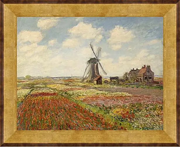 Картина в раме - Fields of Tulip With The Rijnsburg Windmill. Клод Моне