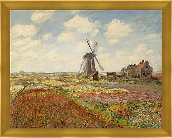 Картина в раме - Fields of Tulip With The Rijnsburg Windmill. Клод Моне