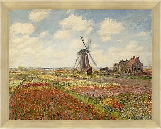 Картина в раме - Fields of Tulip With The Rijnsburg Windmill. Клод Моне