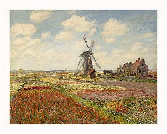 Картина в раме - Fields of Tulip With The Rijnsburg Windmill. Клод Моне