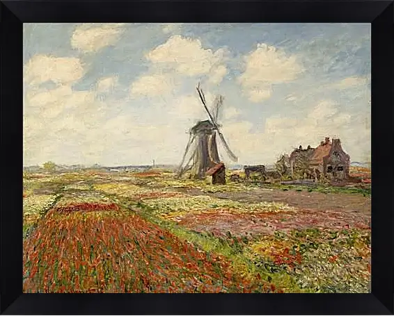 Картина в раме - Fields of Tulip With The Rijnsburg Windmill. Клод Моне