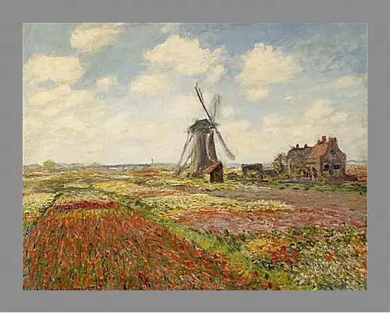 Картина в раме - Fields of Tulip With The Rijnsburg Windmill. Клод Моне