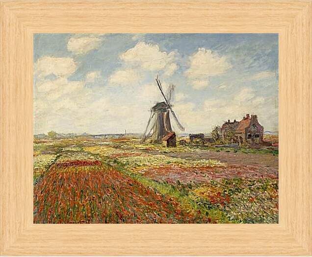 Картина в раме - Fields of Tulip With The Rijnsburg Windmill. Клод Моне