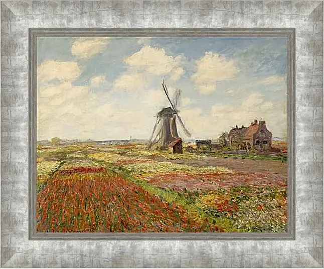 Картина в раме - Fields of Tulip With The Rijnsburg Windmill. Клод Моне